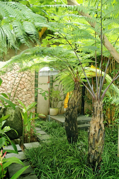 villa-ramadewa_12_bali_landscape_company_design_architecture_contractor_balinese_garden_