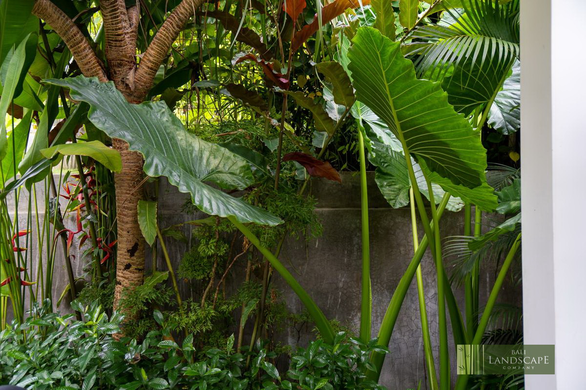 haus_flora_villa_09_bali_landscape_company_landscaping_service_architecture_construction_indonesia
