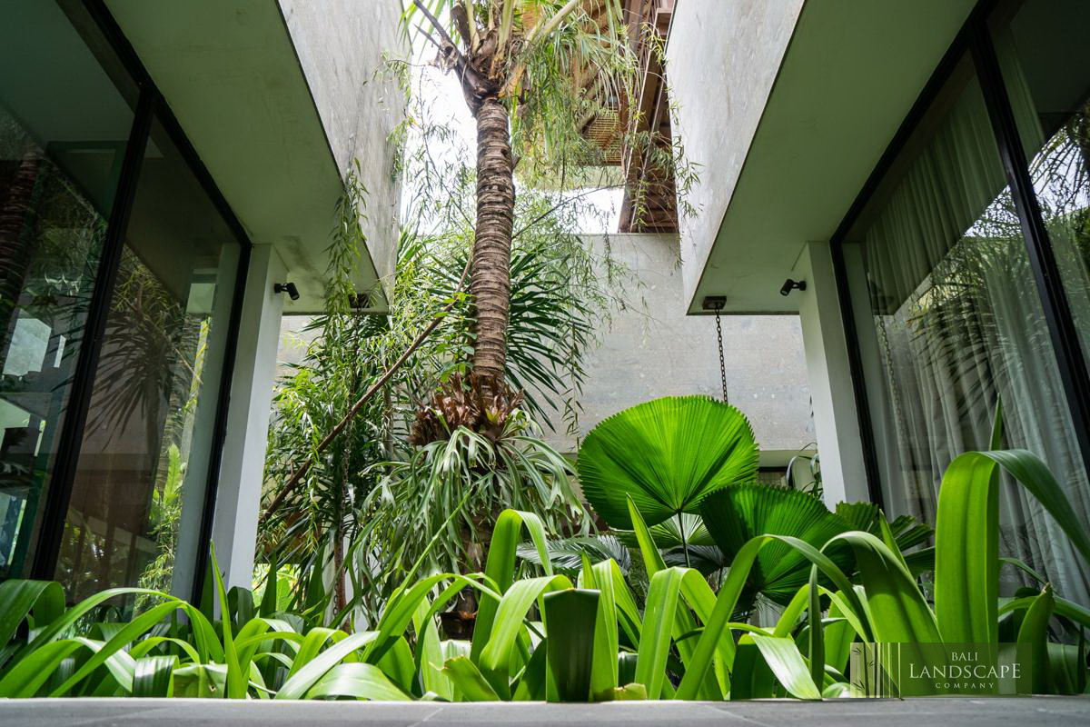 haus_flora_villa_12_bali_landscape_company_landscaping_service_architecture_construction_indonesia