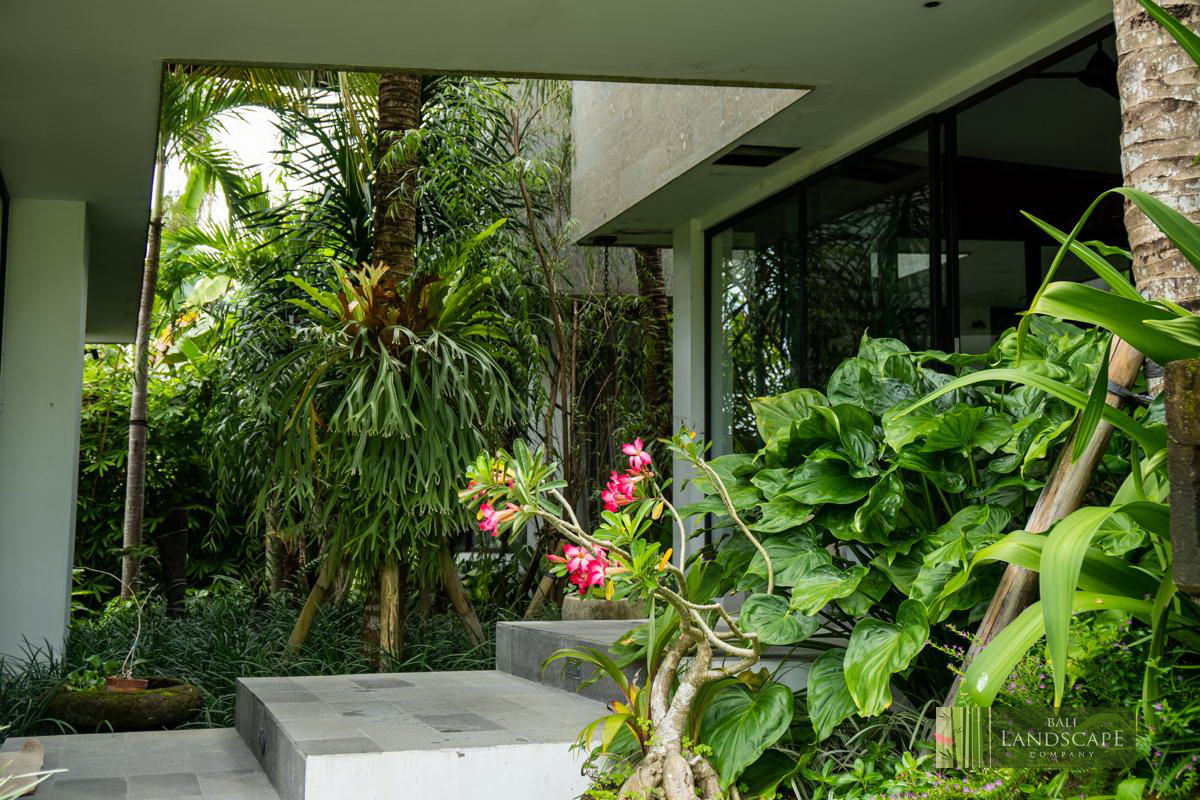 haus_flora_villa_14_bali_landscape_company_landscaping_service_architecture_construction_indonesia