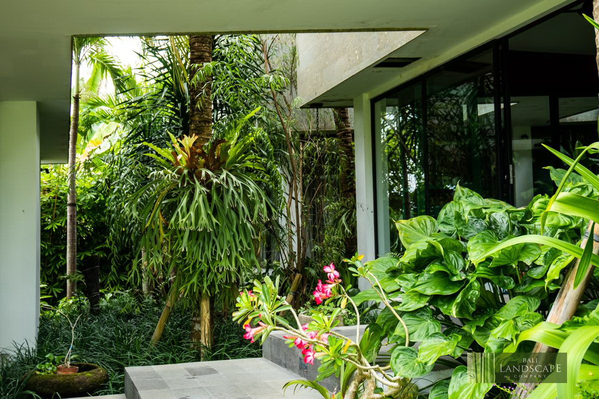 haus_flora_villa_15_bali_landscape_company_landscaping_service_architecture_construction_indonesia
