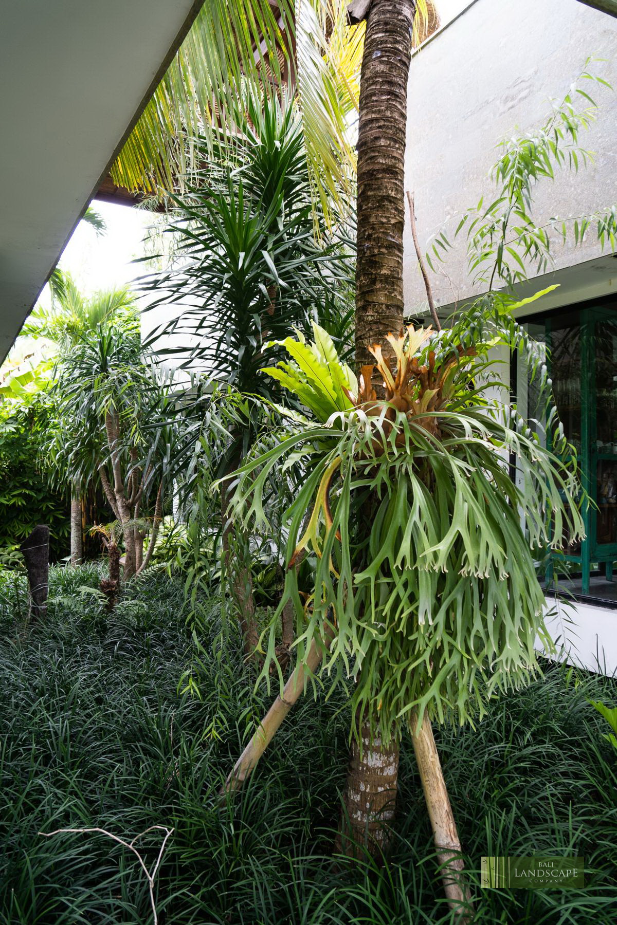 haus_flora_villa_16_bali_landscape_company_landscaping_service_architecture_construction_indonesia