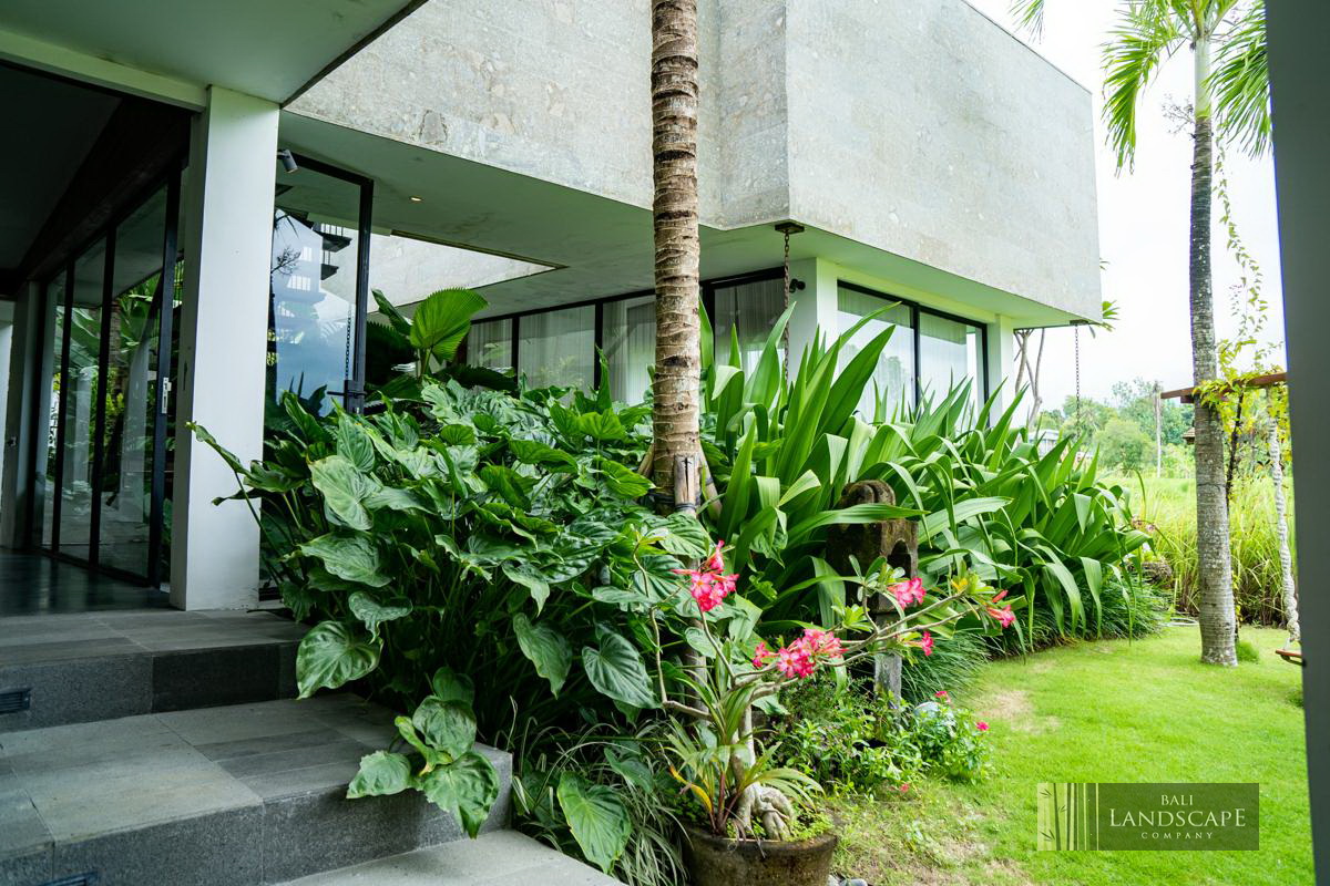 haus_flora_villa_18_bali_landscape_company_landscaping_service_architecture_construction_indonesia