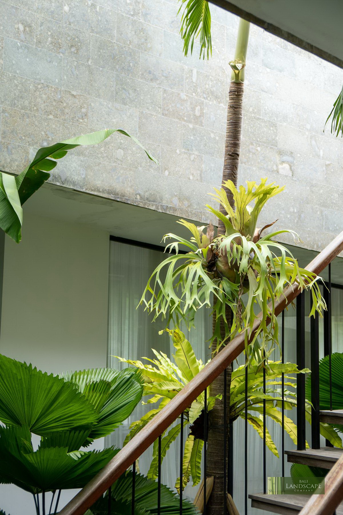 haus_flora_villa_19_bali_landscape_company_landscaping_service_architecture_construction_indonesia