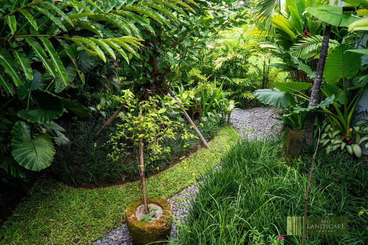 haus_flora_villa_21_bali_landscape_company_landscaping_service_architecture_construction_indonesia