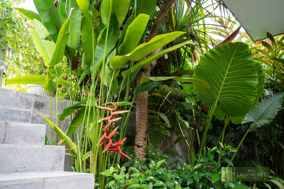 haus_flora_villa_22_bali_landscape_company_landscaping_service_architecture_construction_indonesia