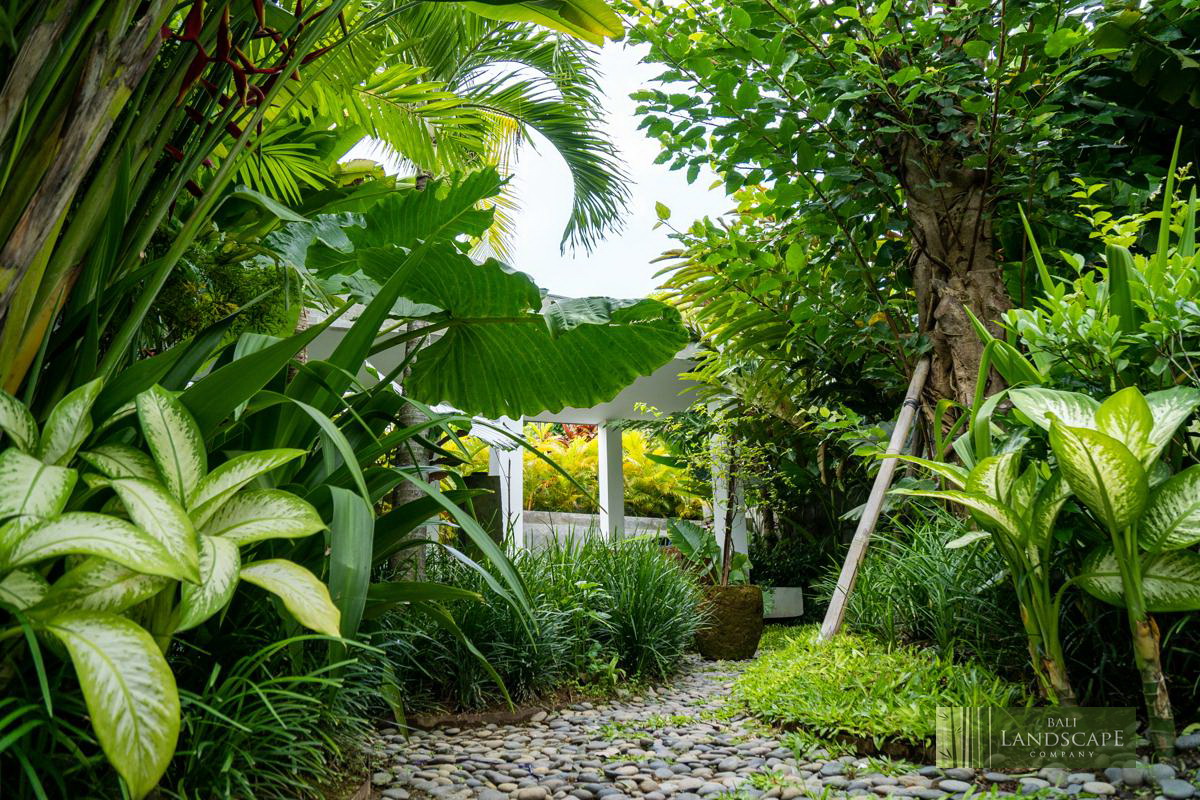 haus_flora_villa_23_bali_landscape_company_landscaping_service_architecture_construction_indonesia