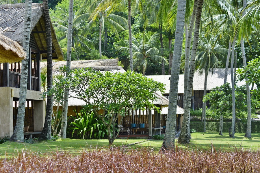 jeeva-klui-resort-lombok-01-bali_landscape_company_landscaping_design_construction_architecture_contractor_service.jpg