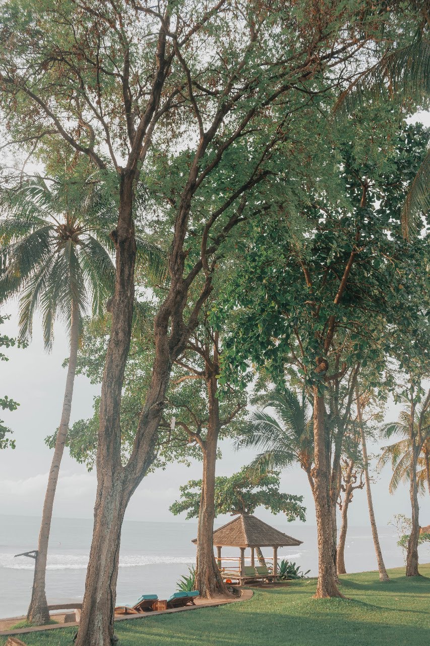 jeeva-klui-resort-lombok-01-bali_landscape_company_landscaping_design_construction_architecture_contractor_service.jpg
