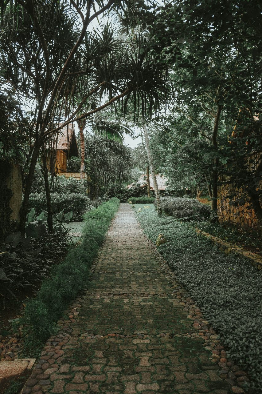 jeeva-klui-resort-lombok-01-bali_landscape_company_landscaping_design_construction_architecture_contractor_service.jpg